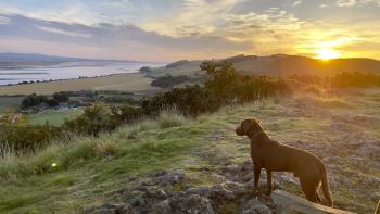Casper at Sunrise