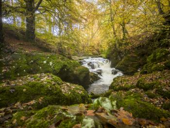 River Devon, Rumbling Bridge, Perth and Kinross, Scotland