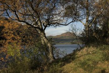 Autumnal Trossachs