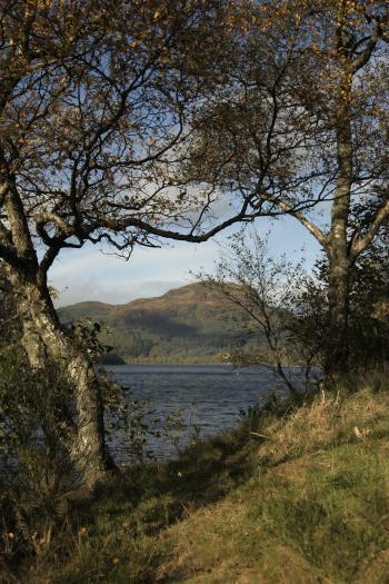 Autumnal Trossachs