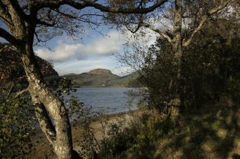 Autumnal Trossachs