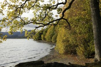 Autumnal Trossachs