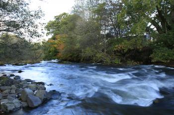 Autumnal Trossachs