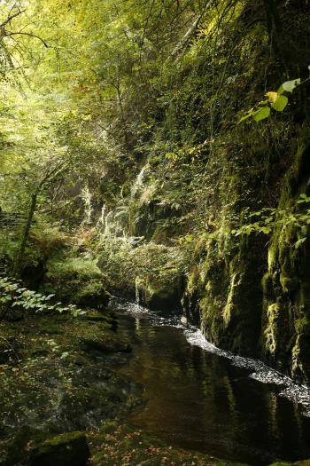 Birks of Aberfeldy 12-10-08
