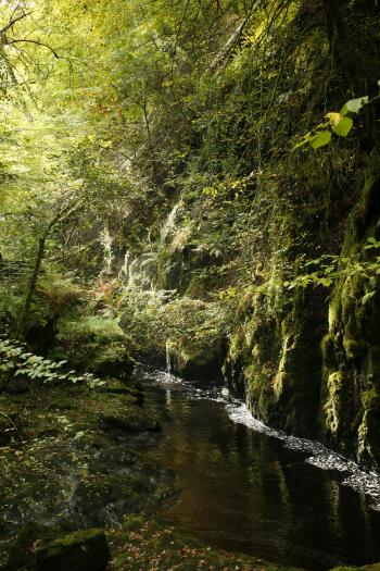 Birks of Aberfeldy 12-10-08