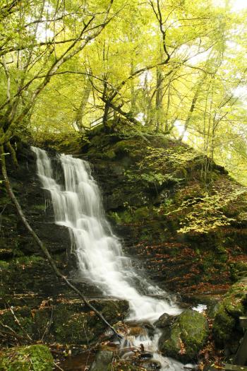 Birks of Aberfeldy 12-10-08