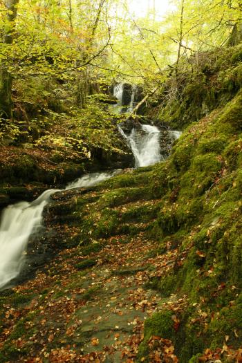 Birks of Aberfeldy 12-10-08