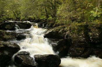 Birks of Aberfeldy 12-10-08