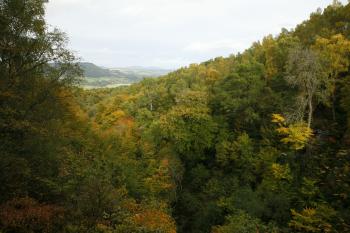 Birks of Aberfeldy 12-10-08