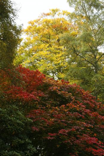 Birks of Aberfeldy 12-10-08