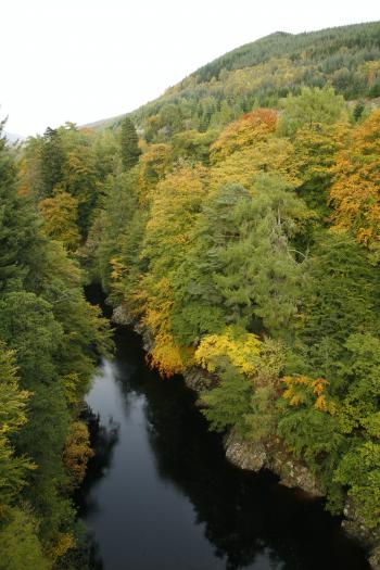 Birks of Aberfeldy 12-10-08