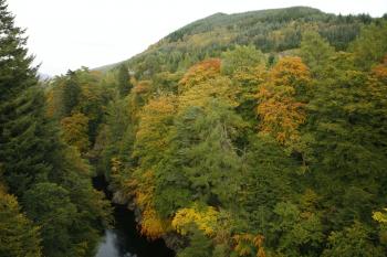 Birks of Aberfeldy 12-10-08