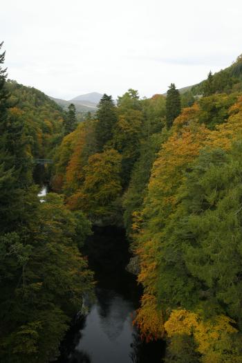 Birks of Aberfeldy 12-10-08