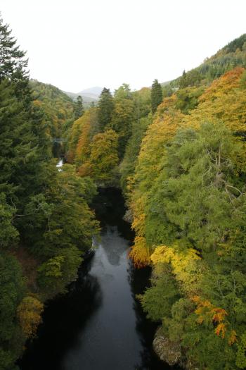 Birks of Aberfeldy 12-10-08