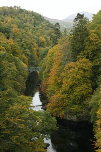 Birks of Aberfeldy 12-10-08