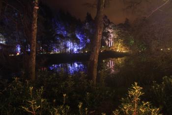 Enchanted Forest, Pitlochry 14-10-09