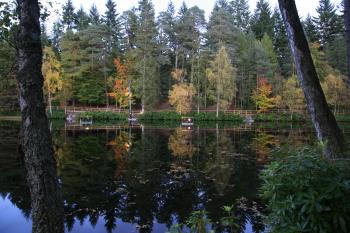 Enchanted Forest, Pitlochry 15-10-08