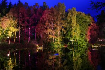 Enchanted Forest, Pitlochry 15-10-08