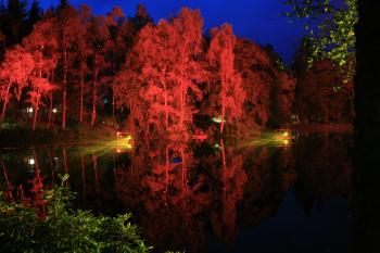 Enchanted Forest, Pitlochry 15-10-08