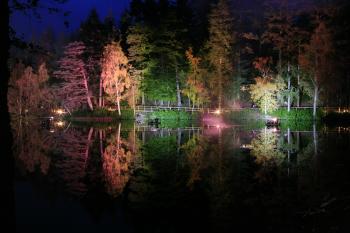 Enchanted Forest, Pitlochry 15-10-08