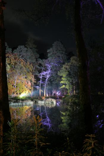 Enchanted Forest, Pitlochry 15-10-08