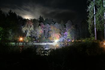 Enchanted Forest, Pitlochry 15-10-08