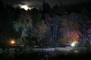 Enchanted Forest, Pitlochry 15-10-08