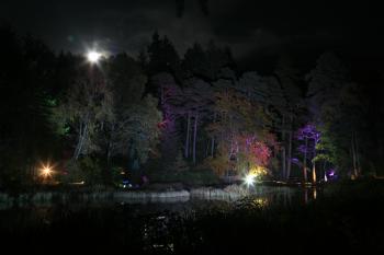 Enchanted Forest, Pitlochry 15-10-08