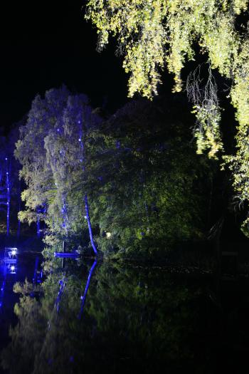 Enchanted Forest, Pitlochry 15-10-08