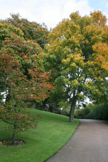 Edinburgh Royal Botanical Garden Autumn 13-10-08