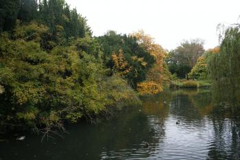 Edinburgh Royal Botanical Garden Autumn 13-10-08