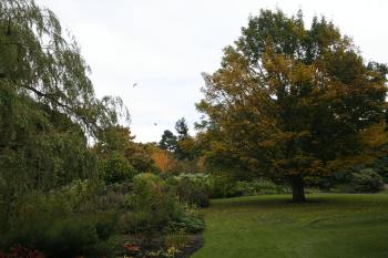 Edinburgh Royal Botanical Garden Autumn 13-10-08