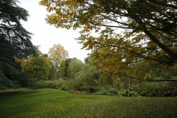 Edinburgh Royal Botanical Garden Autumn 13-10-08