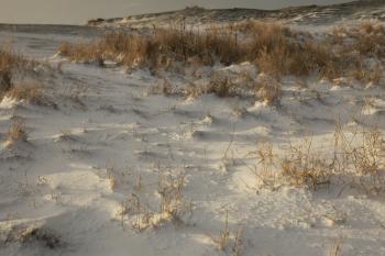 Edinburgh Sunrise Snow