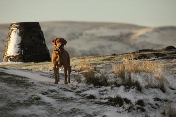 Edinburgh Sunrise Snow