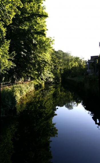 Edinburgh Water of Leith 05-06-09