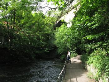 Edinburgh Water of Leith 05-06-09