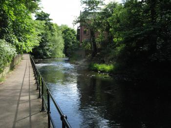 Edinburgh Water of Leith 05-06-09