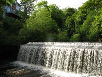 Edinburgh Water of Leith 05-06-09