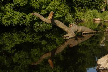 Edinburgh Water of Leith 05-06-09