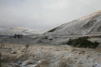 Borders Winter 24-01-08