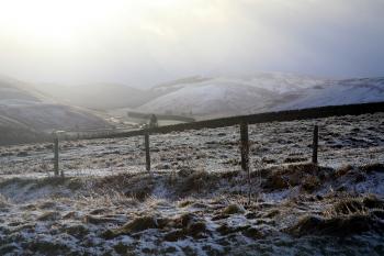 Borders Winter 24-01-08