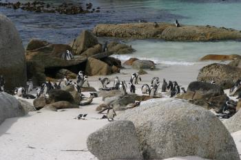 Cape Town 2004