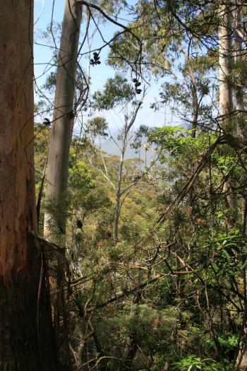 katoomba Blue Mountains