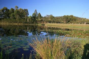 Riverwood Downs