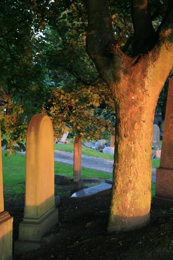 Gorgie Graveyard 11-07-07