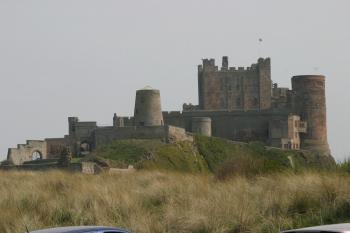 Farne Islands 06-05-06