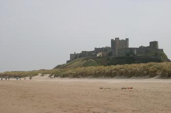 Farne Islands 06-05-06