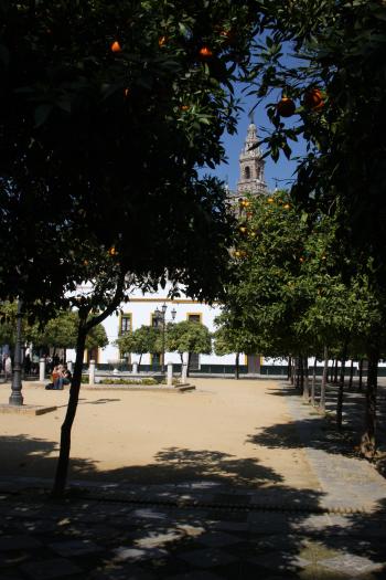 Alhambra Seville 29-02-08